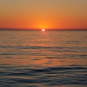 Meet your Posher, Kaur